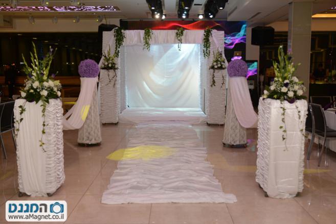 תמונה גדולה